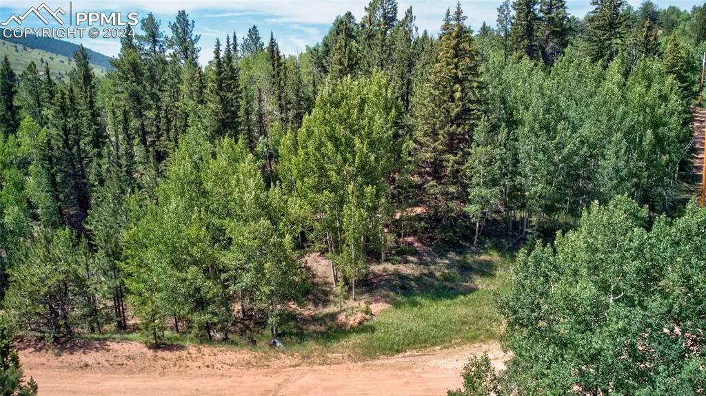 158 Rattler CT, Cripple Creek, CO 80813