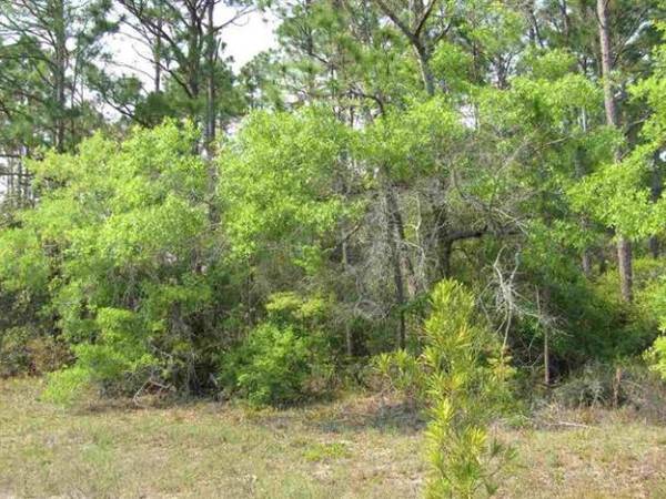 Lot 7 Lucy Ln, Panacea, FL 32346