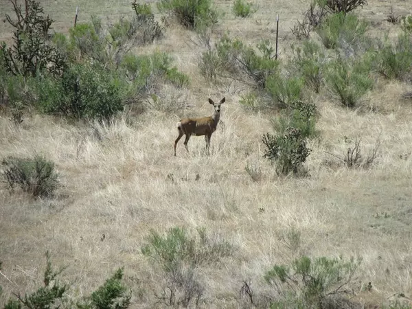 Pueblo, CO 81004,TBD Katahdin