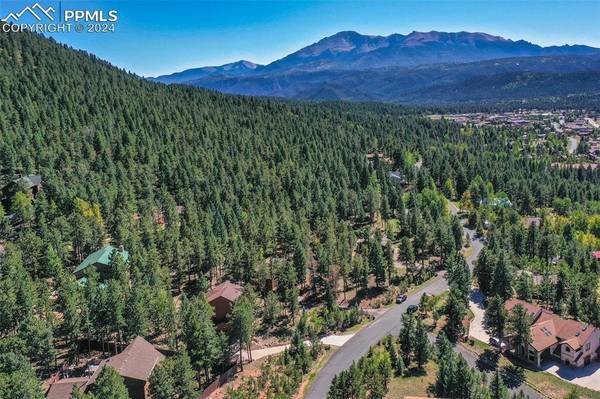 Woodland Park, CO 80863,1261 Forest Edge RD