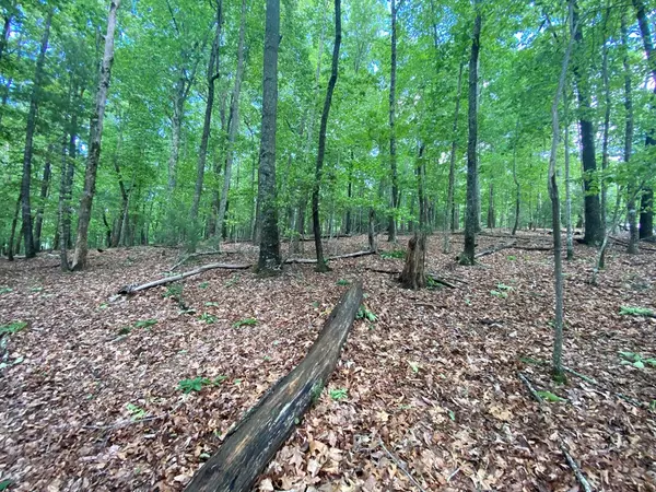 Blairsville, GA 30512,Lot 5 Mount Pleasant Ridge Road