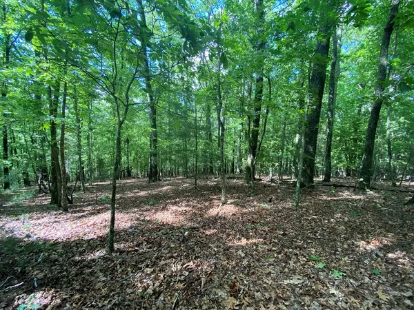 Blairsville, GA 30512,Lot 5 Mount Pleasant Ridge Road