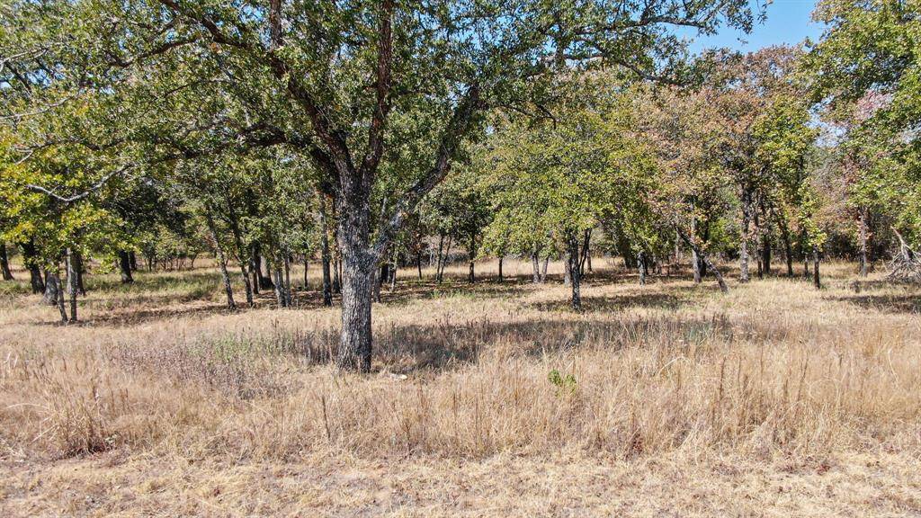 2040 Vaquero Drive, Weatherford, TX 76088