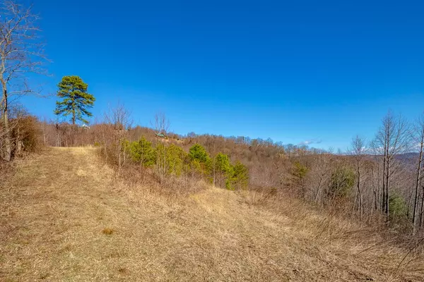 Fancy Gap, VA 24328,87 Acre Reflections Point Trl