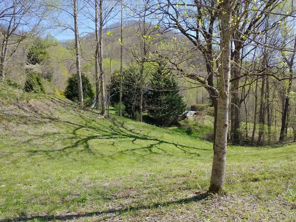 Hayesville, NC 26906,Lot 6 High Meadows