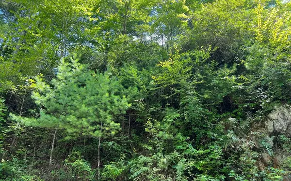 Lot 76 Fires Creek Cove, Hayesville, NC 28904