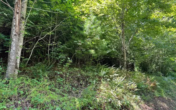 Lot 69 Fires Creek Cove, Hayesville, NC 28904