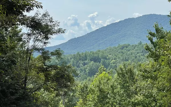 LT 72 Fires Creek Cove Road, Hayesville, NC 28904