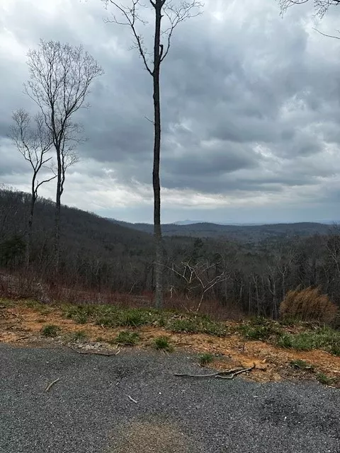 Ellijay, GA 30541,Lot 173 Shagbark Court