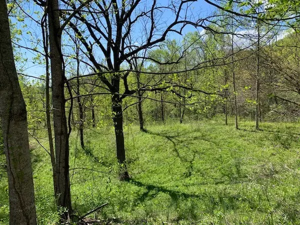 Hayesville, NC 26906,Lot 6 High Meadows