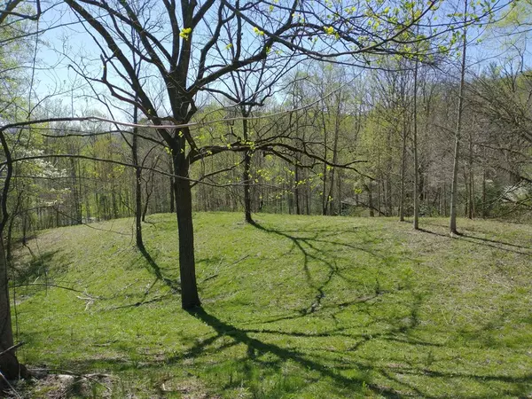 Hayesville, NC 26906,Lot 6 High Meadows