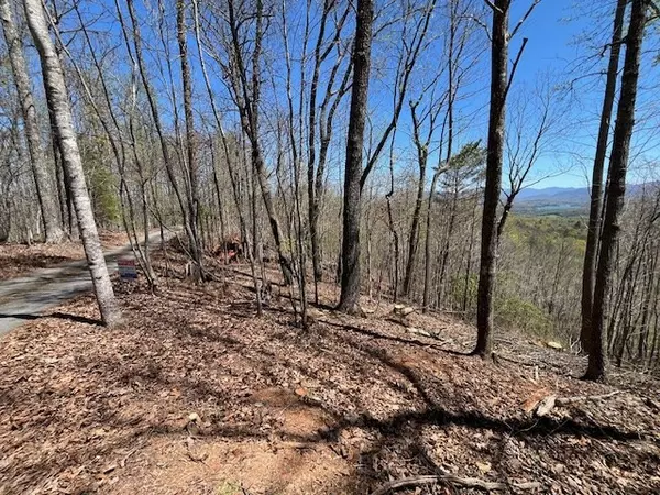 Hayesville, NC 26906,Lot 11 Longview Drive