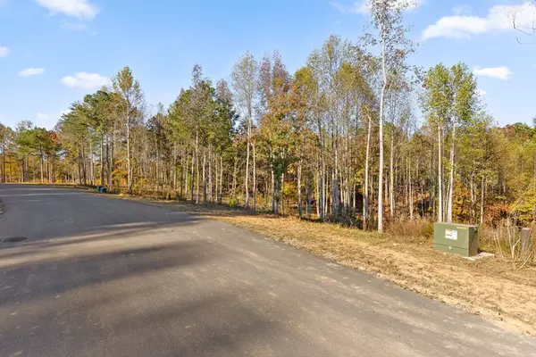 Talking Rock, GA 30175,Lot 17 Bravo Way