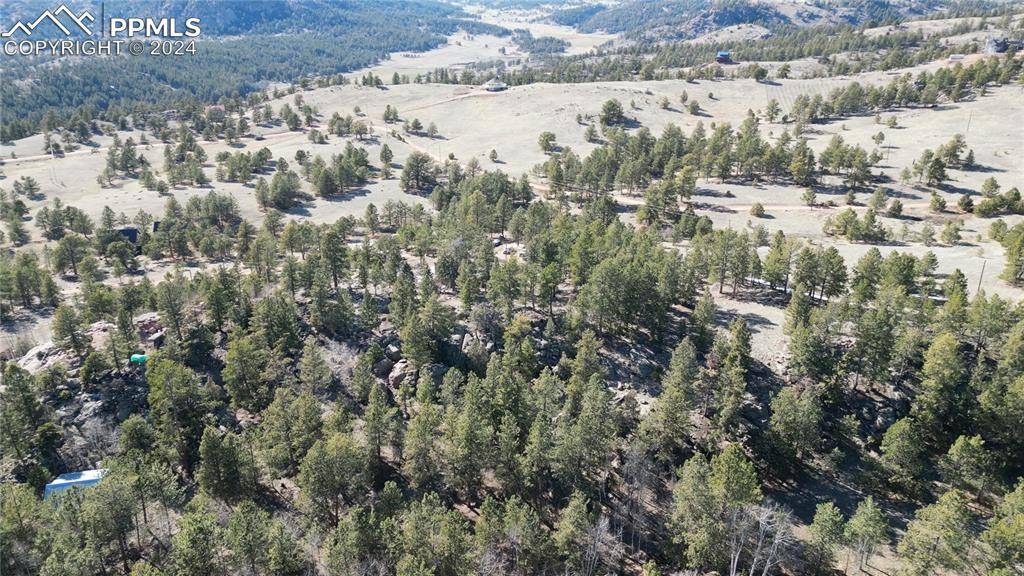 421 Crescent DR, Florissant, CO 80816