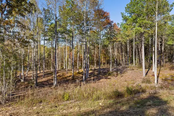 Talking Rock, GA 30175,Lot 20 Bravo Way