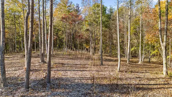 Talking Rock, GA 30175,Lot 20 Bravo Way