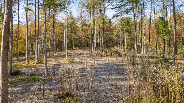 Talking Rock, GA 30175,Lot 20 Bravo Way