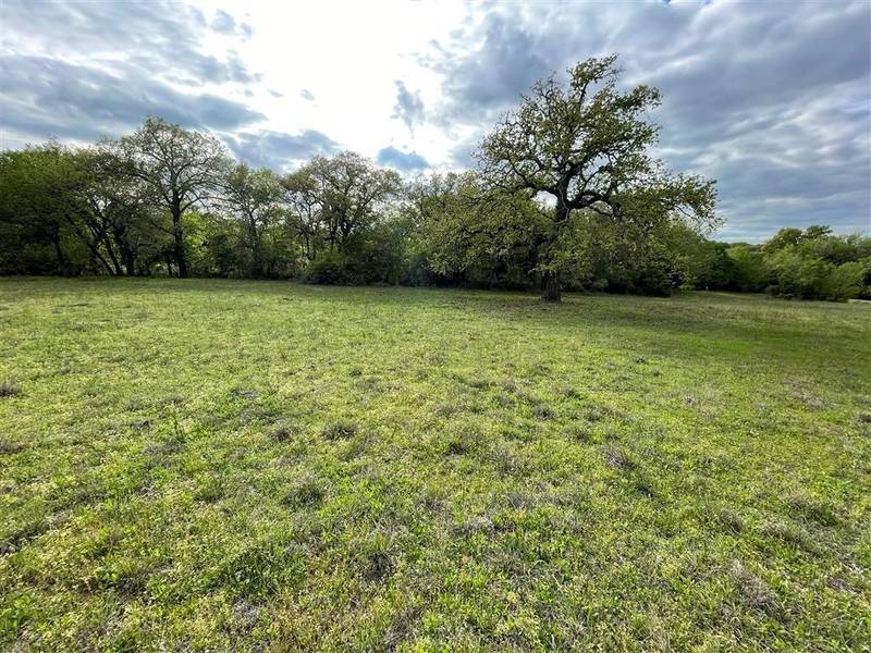 1037 Gonzollas Road, Springtown, TX 76082