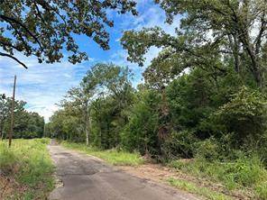 TBD County Road 381, Oakwood, TX 75855