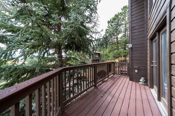 Woodland Park, CO 80863,580 Greenway CT #B