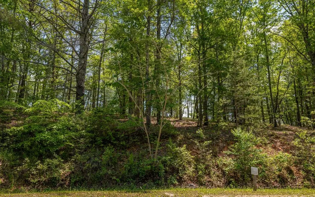 Mineral Bluff, GA 30559,Lot 59 Old Toccoa Loop