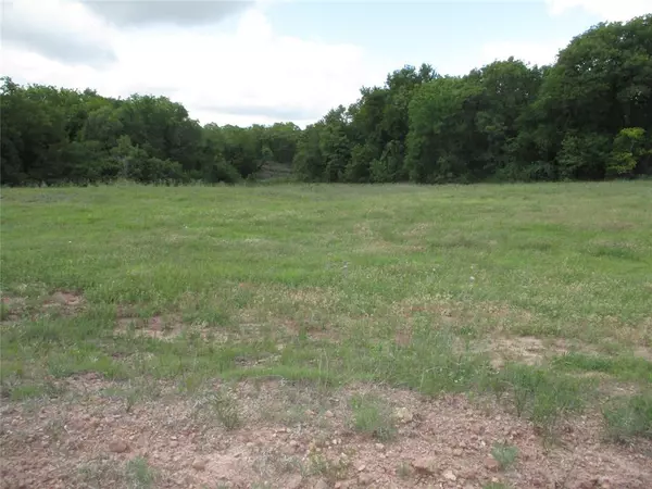 Perrin, TX 76486,13.2 ac Two Bush