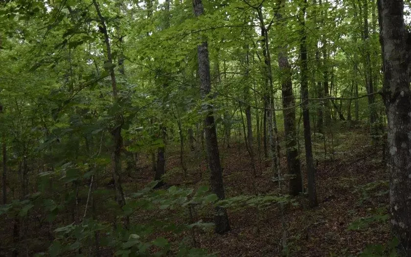 Lot 15 Smoky Mtn Ridge, Murphy, NC 28906