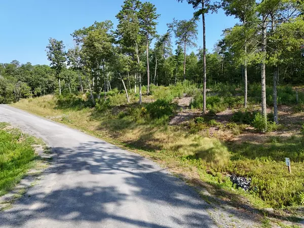 Mineral Bluff, GA 30559,Lot 3 Mountain Laurel Ridge