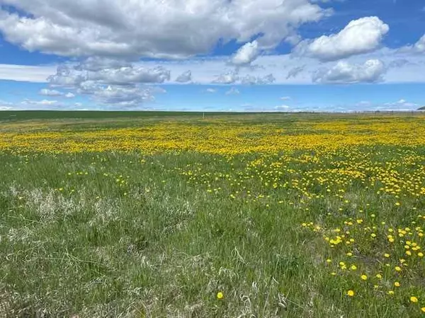 Rural Mountain View County, AB T0M0R0,30264 Range Road 40