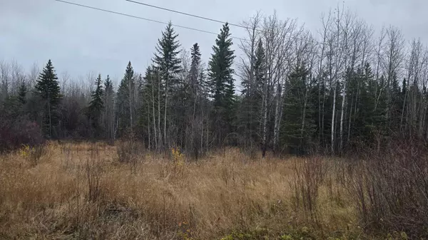 Lac La Biche, AB T0A 2C0,14554 Twp Rd 674