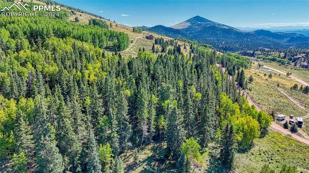 72 Troy WAY, Cripple Creek, CO 80813