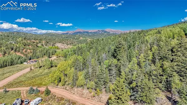 Cripple Creek, CO 80813,72 Troy WAY