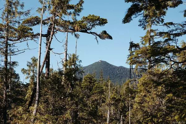 Ucluelet, BC V0R 3A0,Lot 2 Ittatsoo Bay