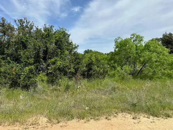 Brownwood, TX 76801,180 Woods Landing Drive