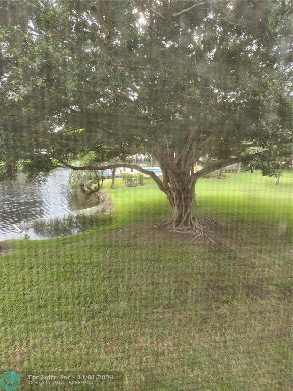 Davie, FL 33324,9410 Poinciana Pl  #203