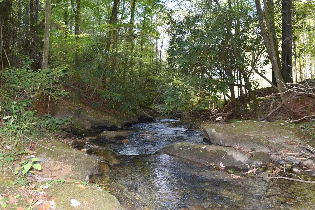 Ellijay, GA 30540,32.98 Ac Zion Hill Road