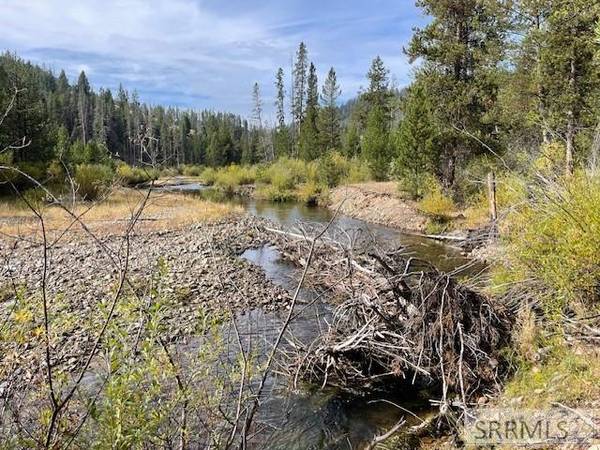 TBD Napias Creek Road, Salmon, ID 83467