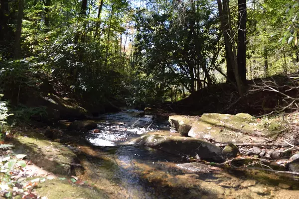 Ellijay, GA 30540,32.98 Ac Zion Hill Road