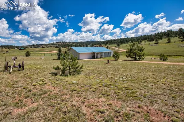 17 Garfield CIR, Florissant, CO 80816