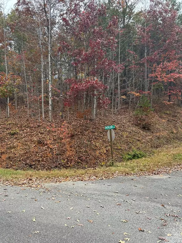 Hiawassee, GA 30546,Lot 34 Shallow Creek Subd.