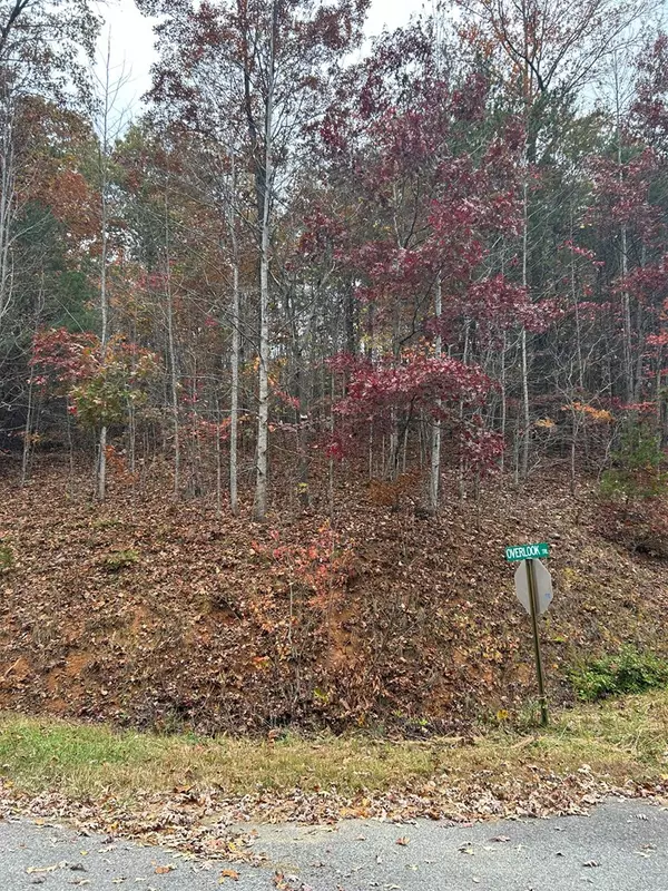 Hiawassee, GA 30546,Lot 34 Shallow Creek Subd.