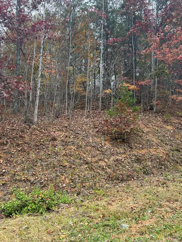 Hiawassee, GA 30546,Lot 34 Shallow Creek Subd.