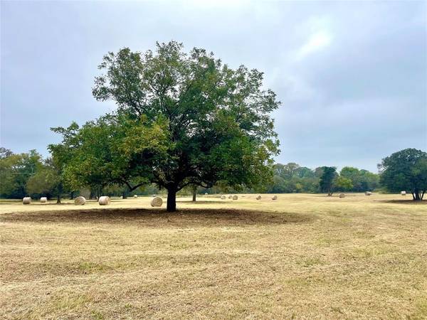 TBD 13.865 Acres Gathings Avenue, Covington, TX 76636