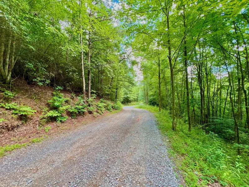 00 Bryant Farm Lane, Ellijay, GA 30540