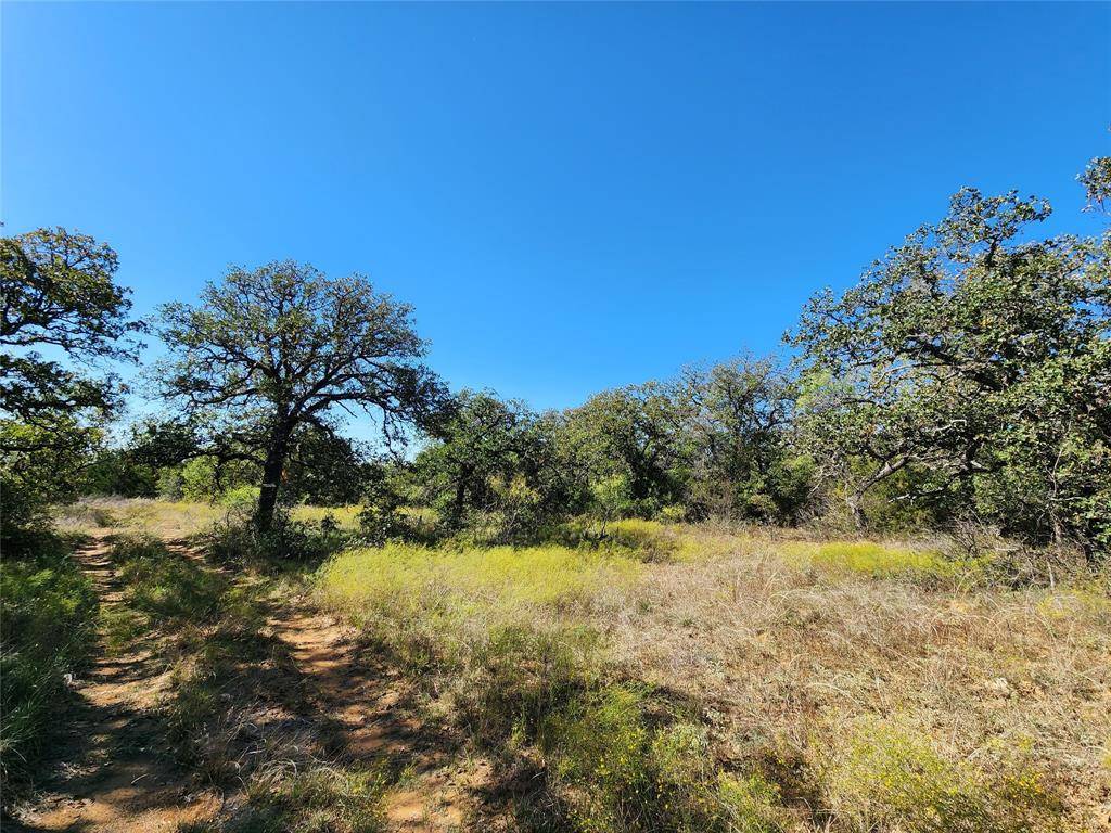 Brownwood, TX 76801,TBD County Road 132