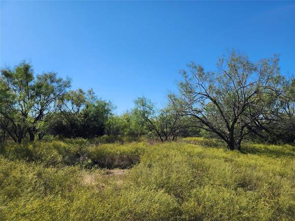 Brownwood, TX 76801,TBD County Road 132