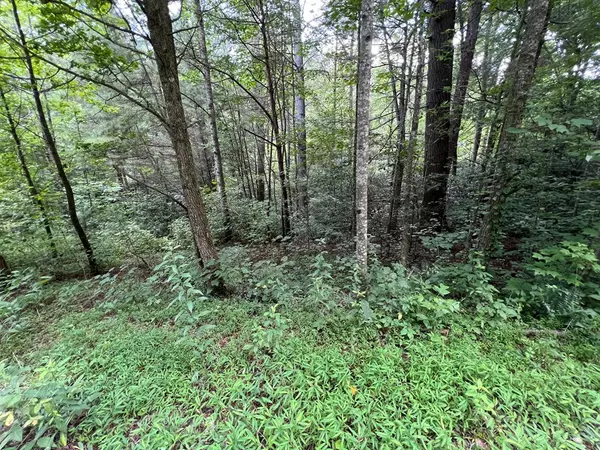 Ellijay, GA 30540,00 Bryant Farm Lane