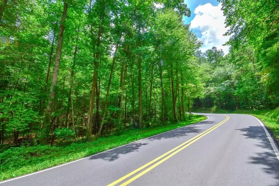 11.98AC Maple Grove Road, Morganton, GA 30560