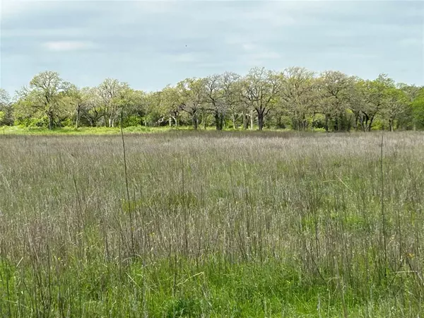 Rising Star, TX 76471,234 County Road 266