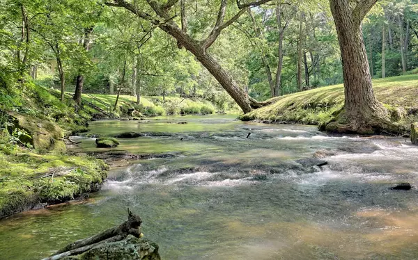 Hiawassee, GA 30546,2024 Swallows Landing